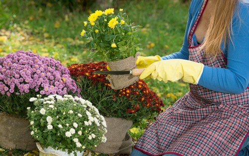 In a garden setting, a woman wearing yellow gardening gloves and a checkered apron is sitting and tending to potted plants with yellow, white, and purple flowers. She is holding a pair of pruning shears, appearing to trim or maintain the plants. Adjacent to her, there are additional flower pots and floral arrangements placed on a garden surface, which include vibrant, blooming flowers set against a backdrop of lush green grass and foliage. The outdoor environment has natural daylight, illustrating a well-maintained landscaped garden with a mix of flower beds, potted plants, and landscaped lawn areas, typical of professional garden and landscaping services in Southwark or similar London boroughs. The scene emphasizes gardening activities such as planting, trimming, or floral decoration, supported by professional gardening expertise from Lawn Mowing Southwark.