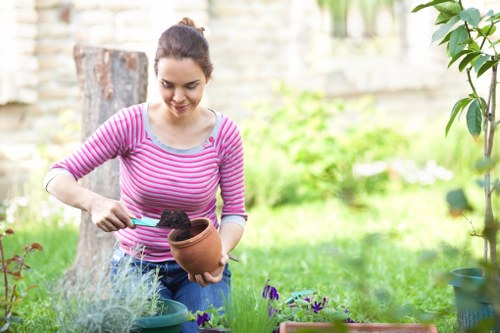 Close-up of lawn and edging in an urban garden