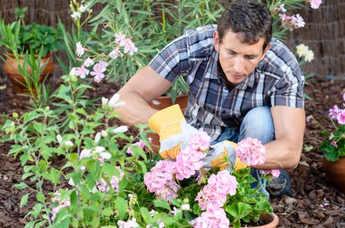Man with van ready for green waste removal